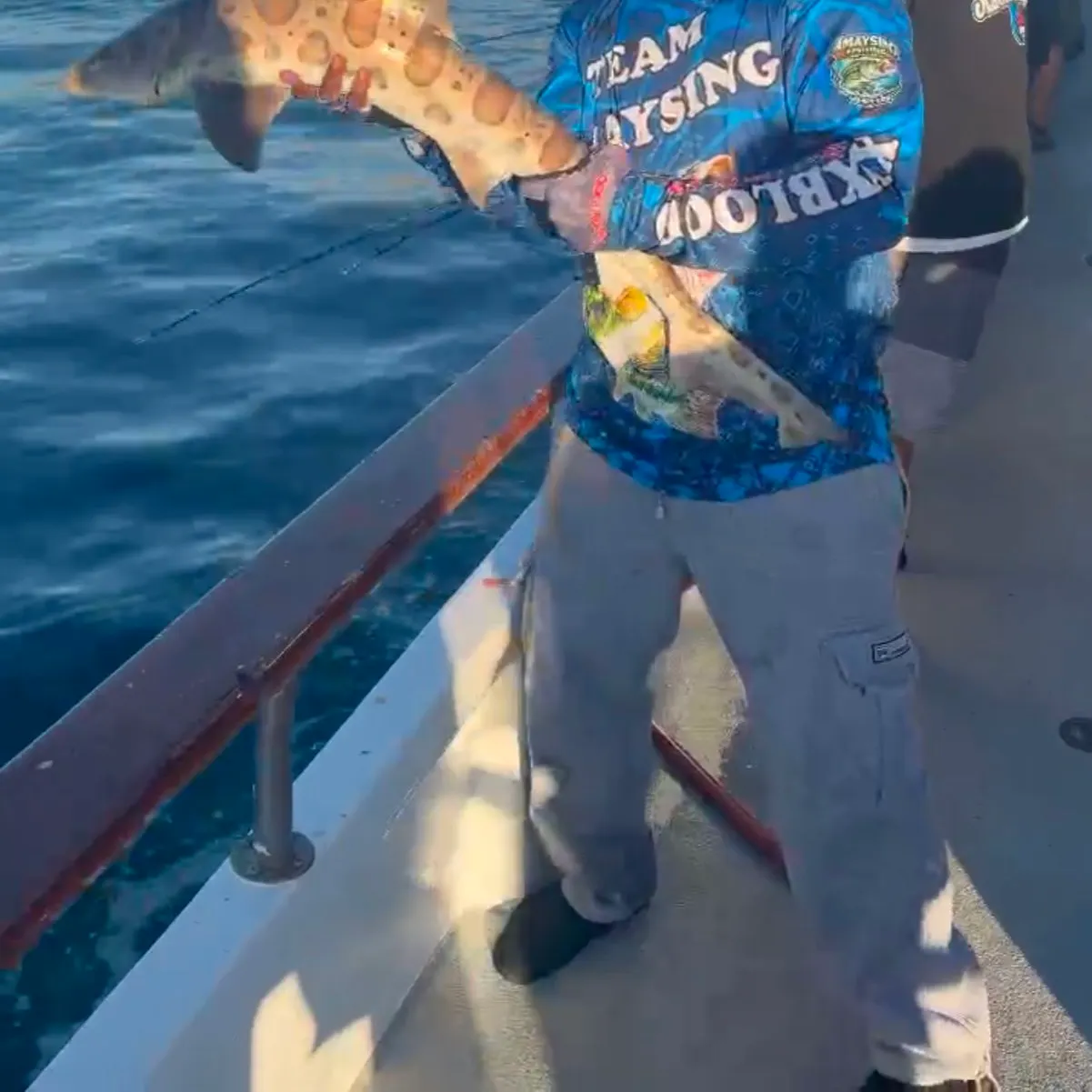 Leopard shark caught on Fishbrain