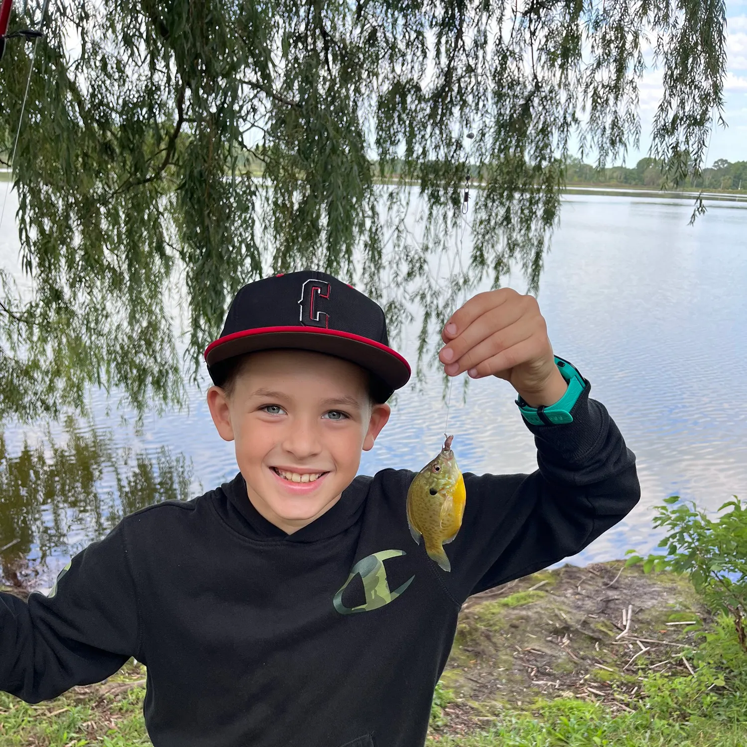 Pumpkinseed caught on Fishbrain