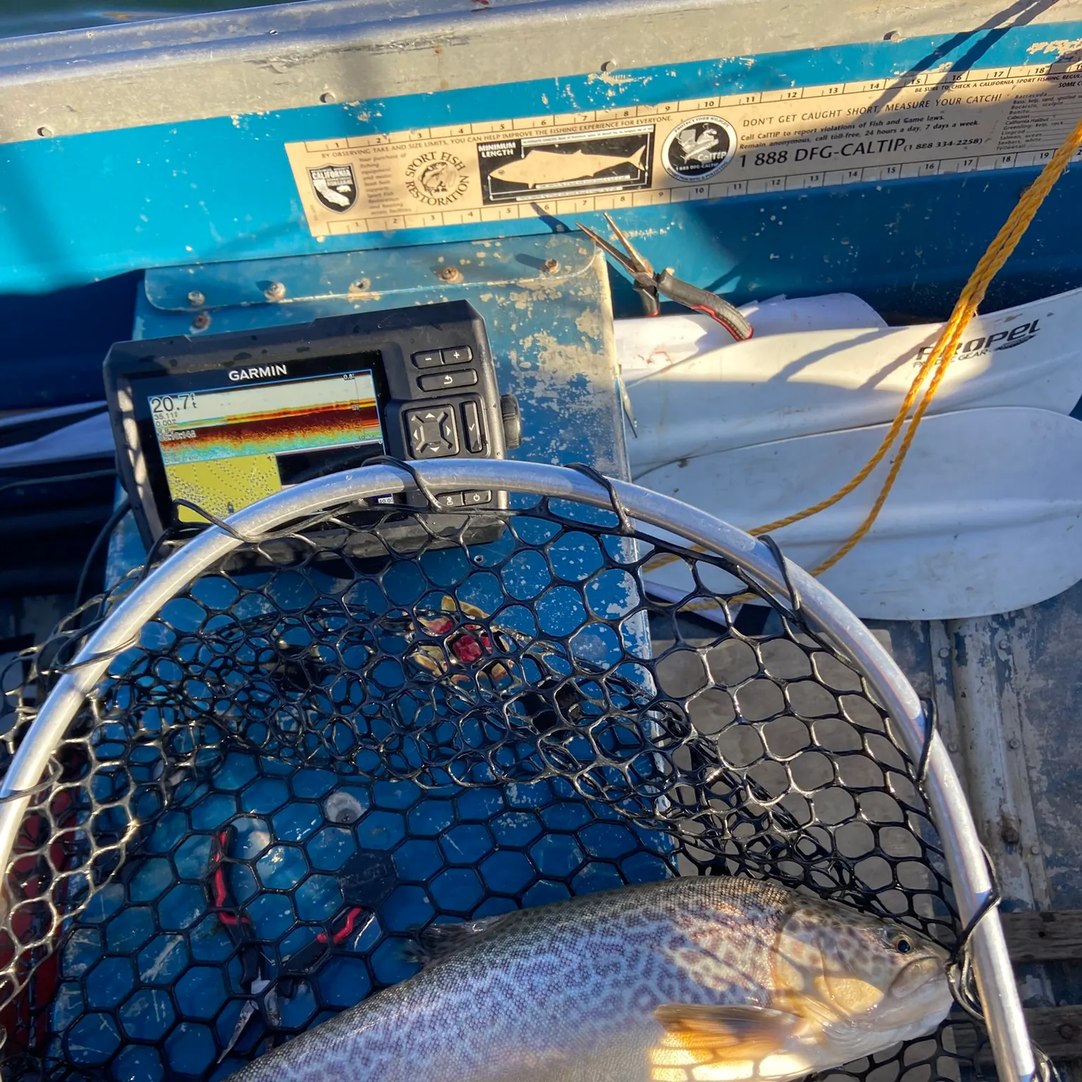 recently logged catches