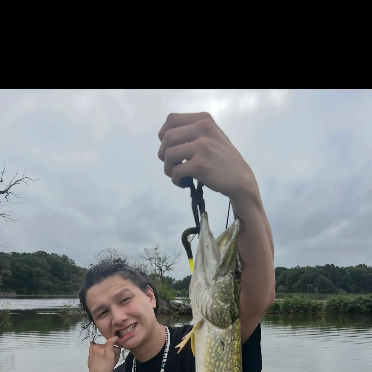 Northern pike caught on Fishbrain