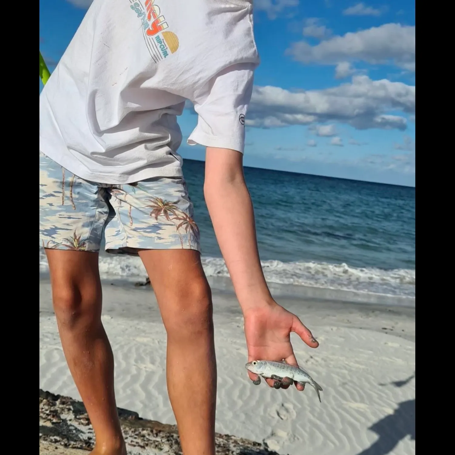 The most recent Australian ruff catches on Fishbrain