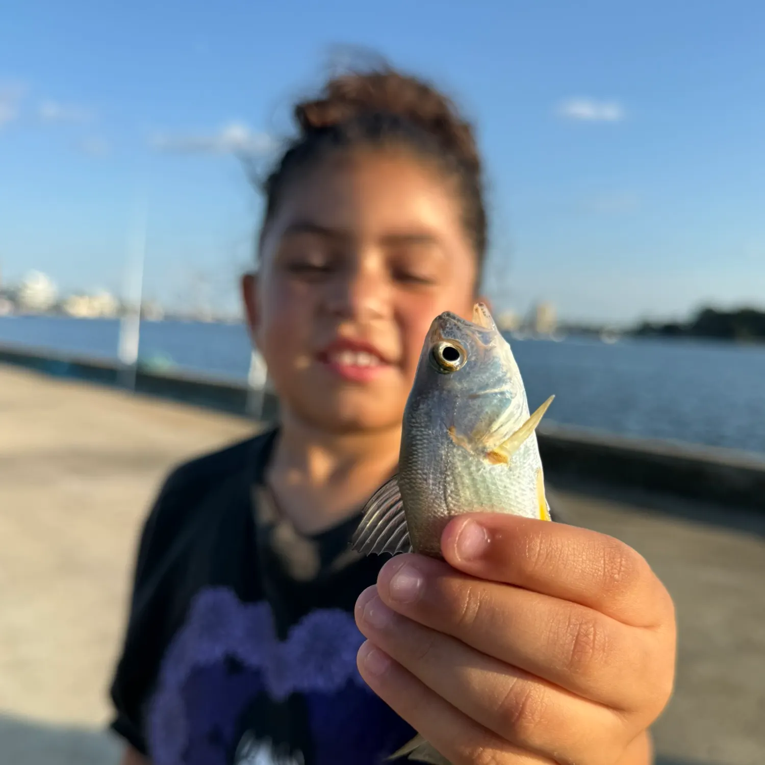The most recent Silver perch catches on Fishbrain