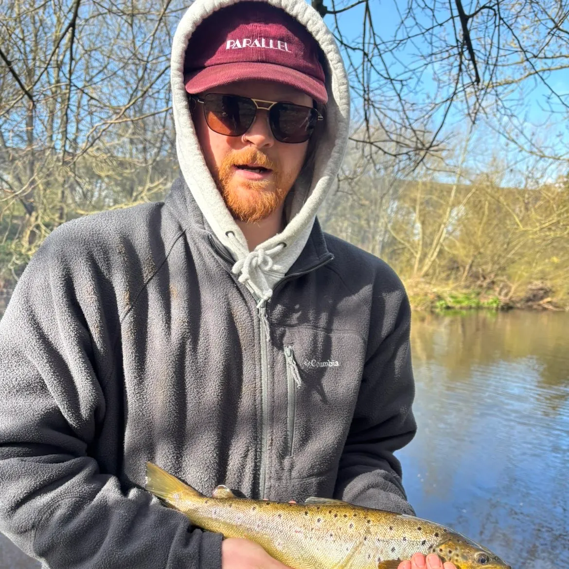 The most recent Brown trout catches on Fishbrain