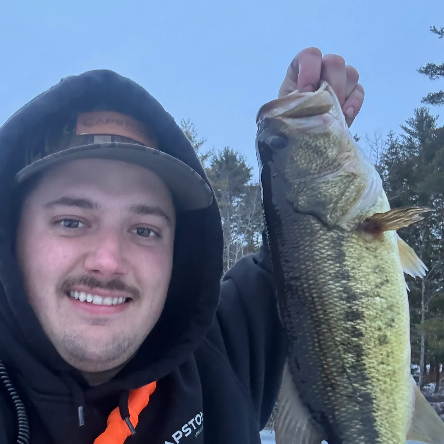 Largemouth bass caught on Fishbrain