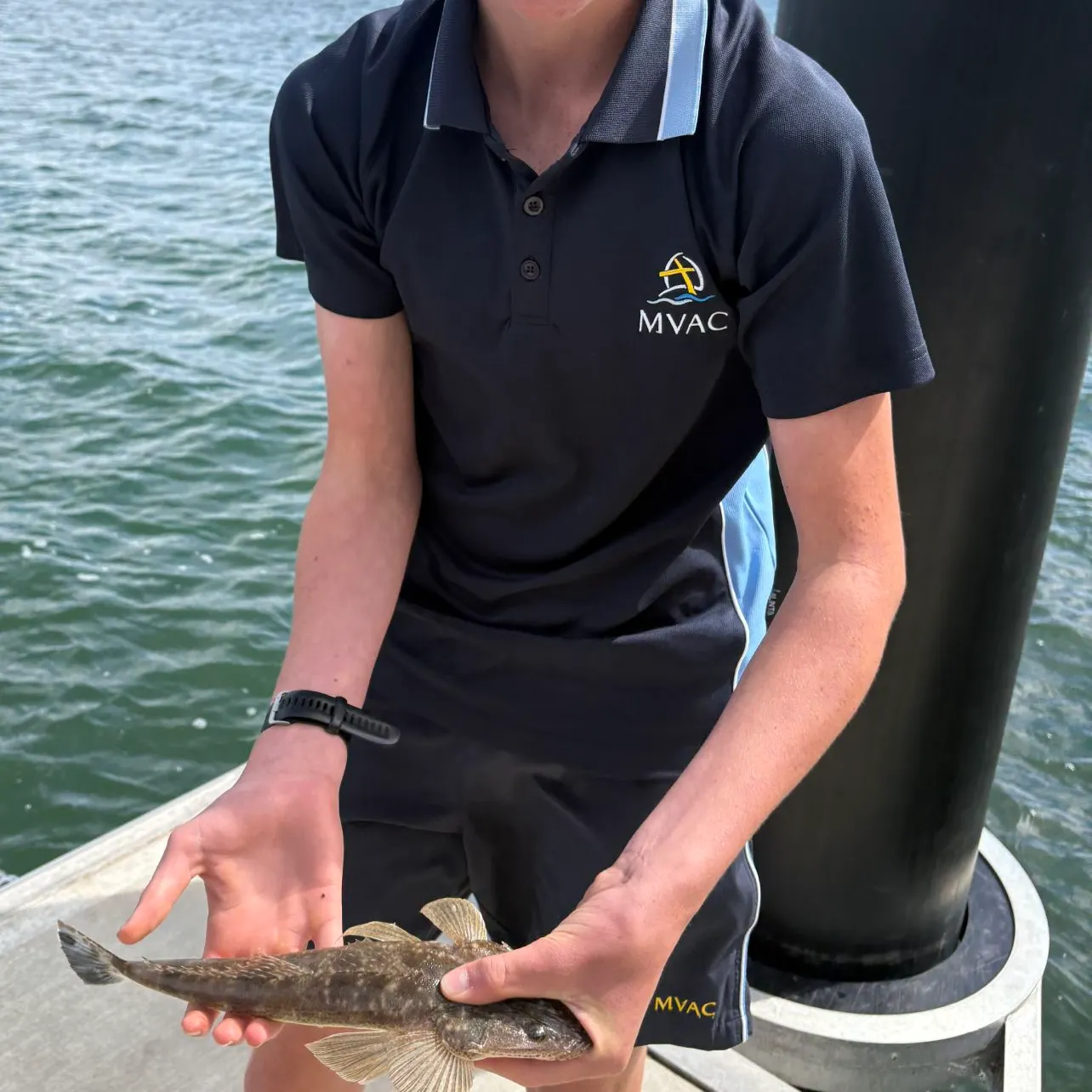 Dusky flathead caught on Fishbrain