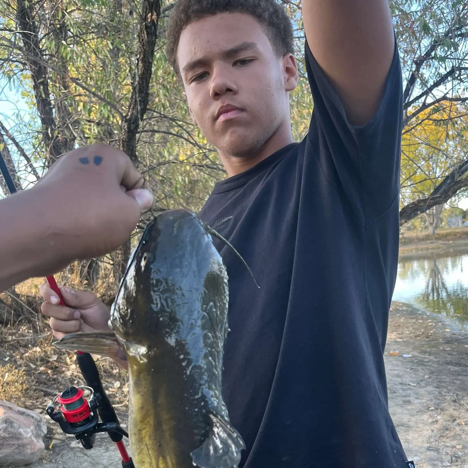 Channel catfish caught on Fishbrain