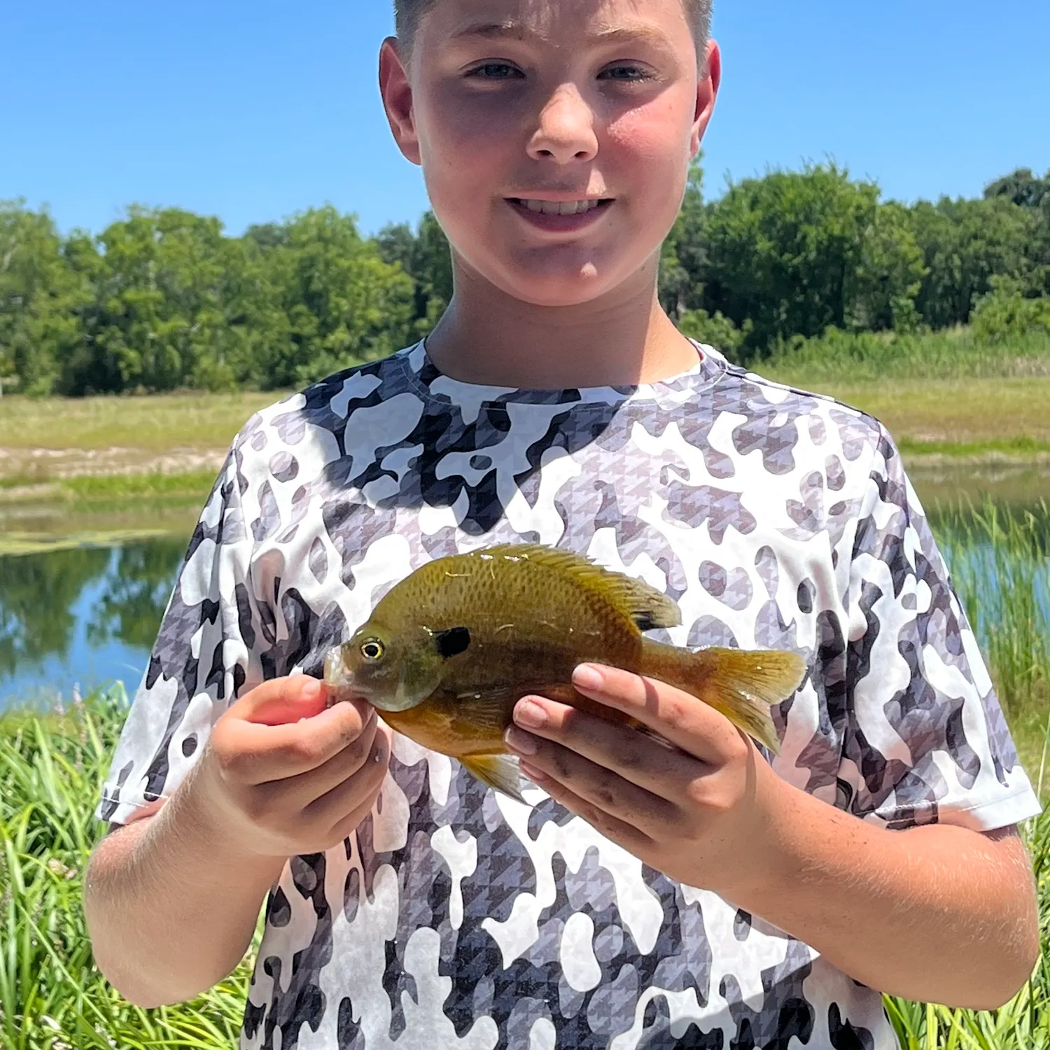 Bluegill caught on Fishbrain