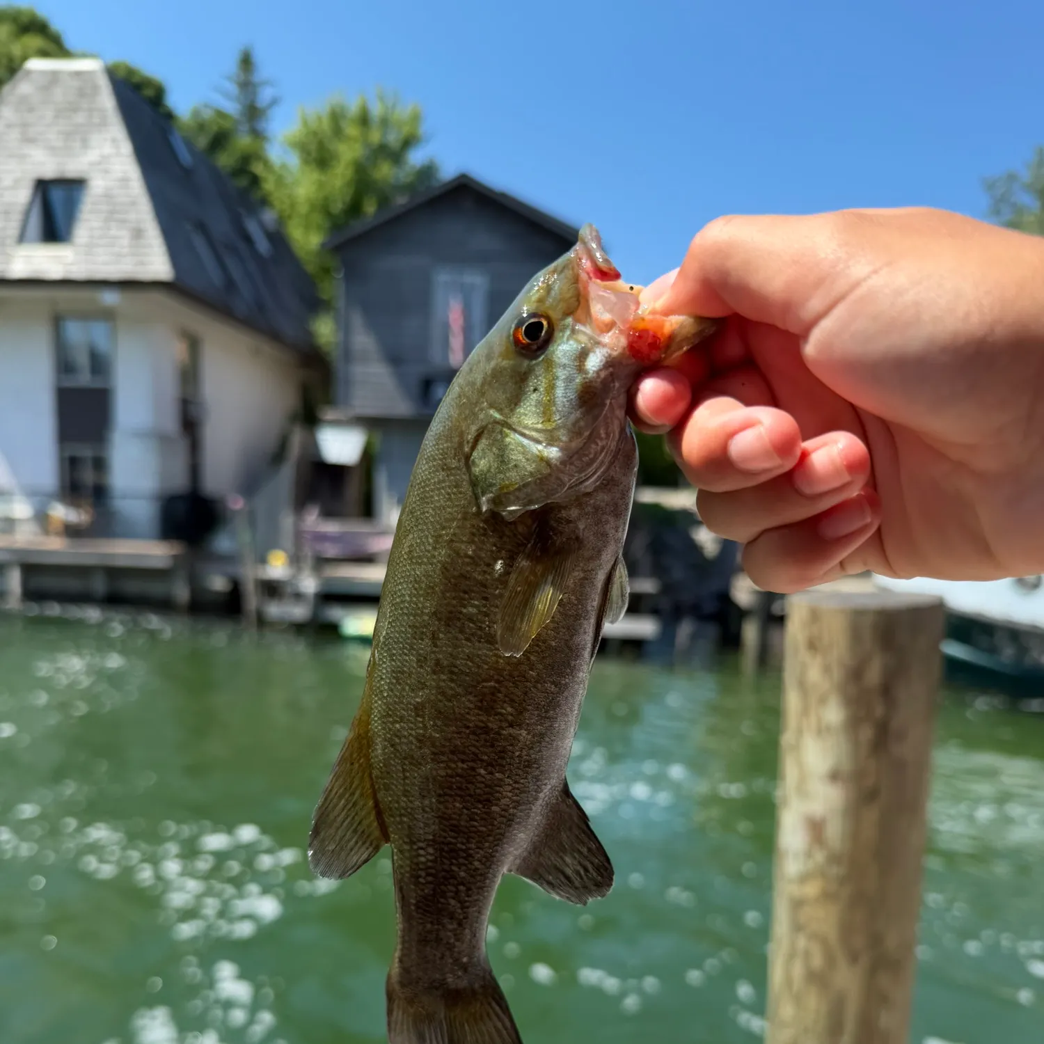 catch
