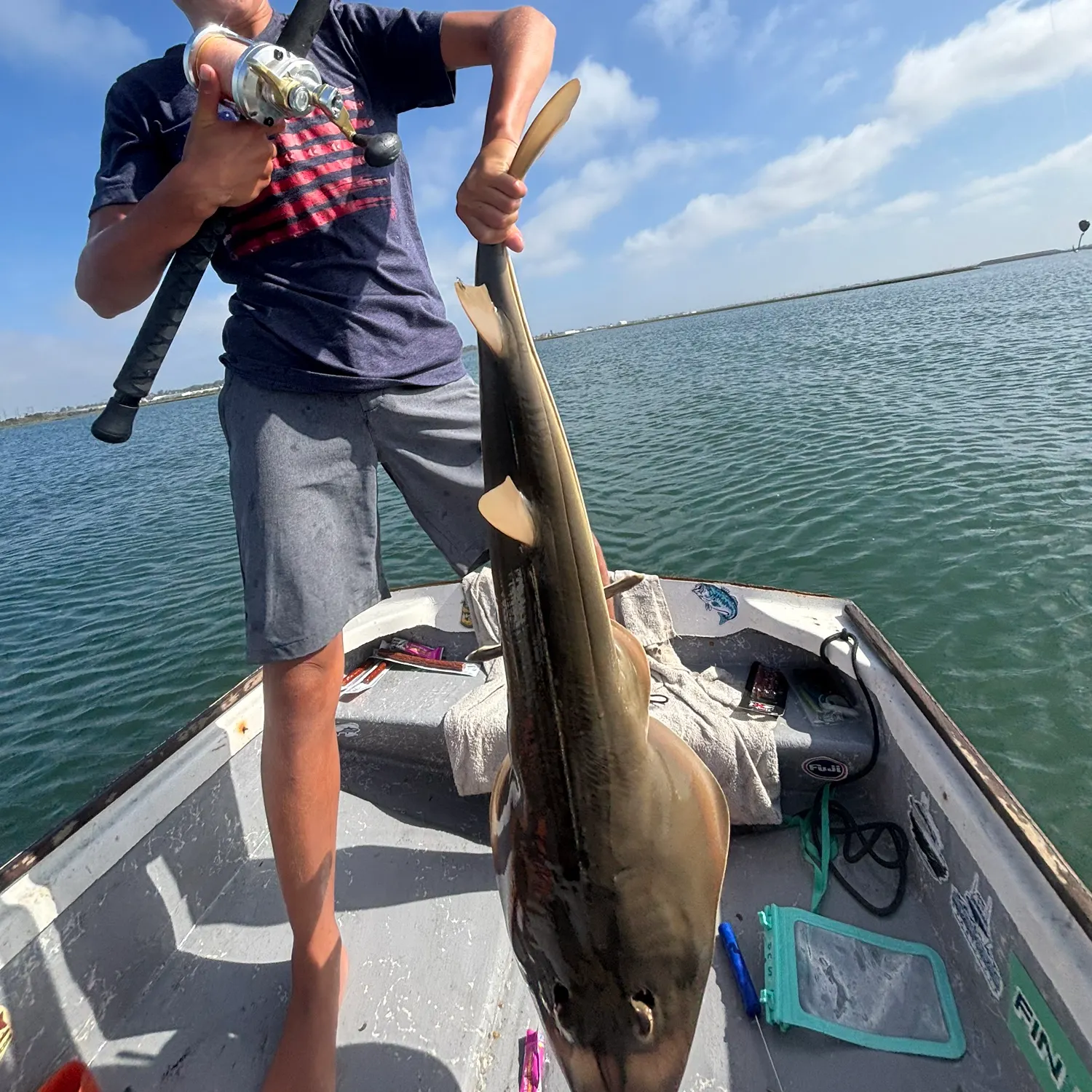 Pacific shovelnose guitarfish caught on Fishbrain
