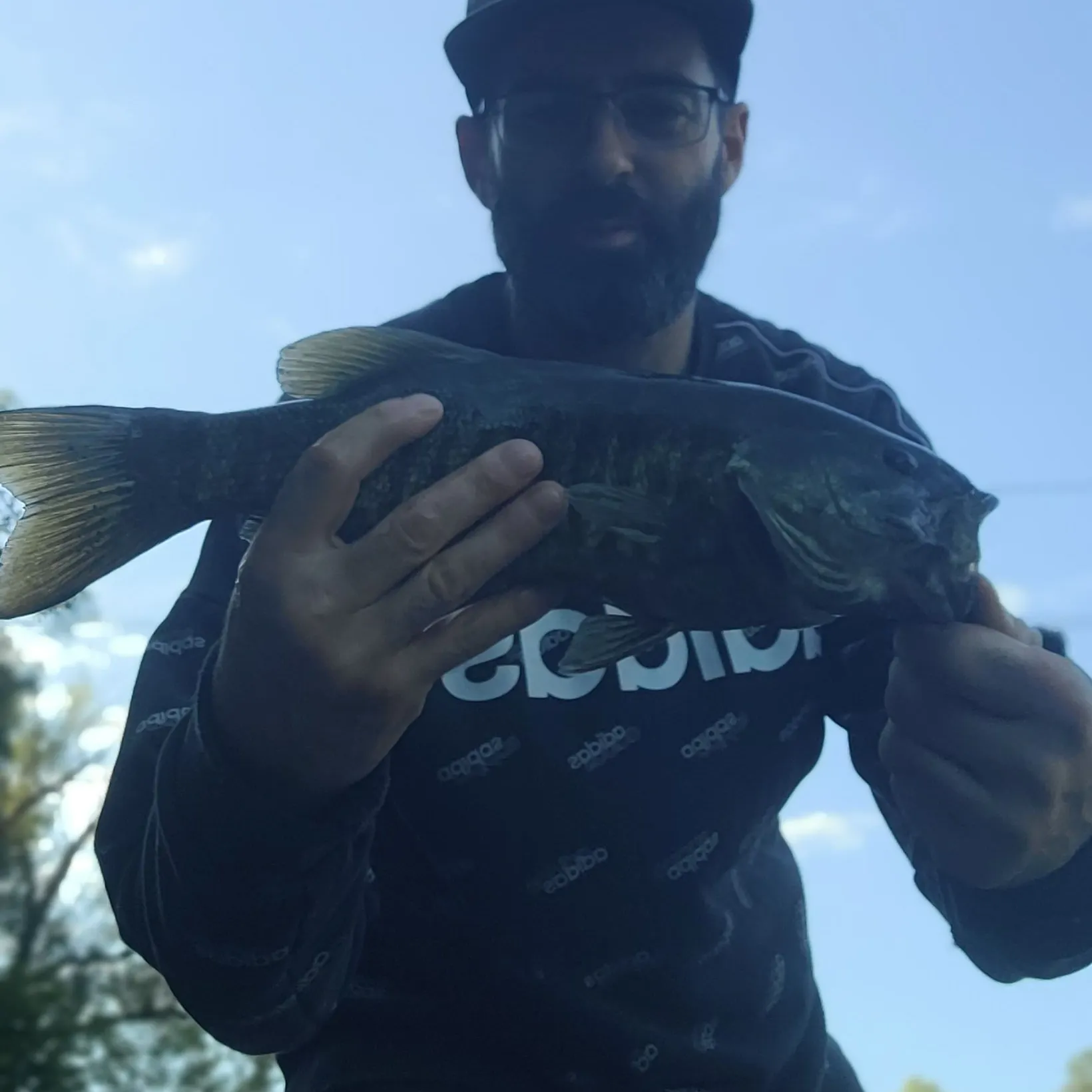 Smallmouth bass caught on Fishbrain