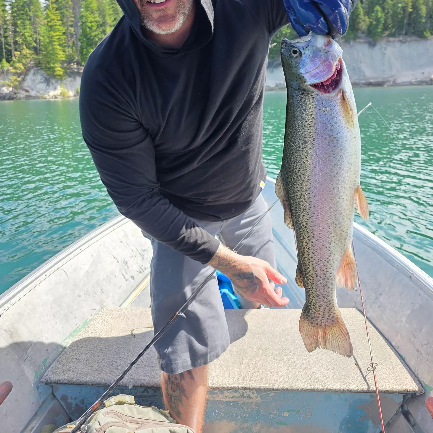 Cutbow caught on Fishbrain