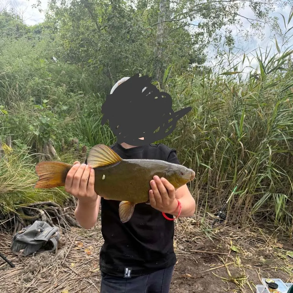 Fish caught on Fishbrain