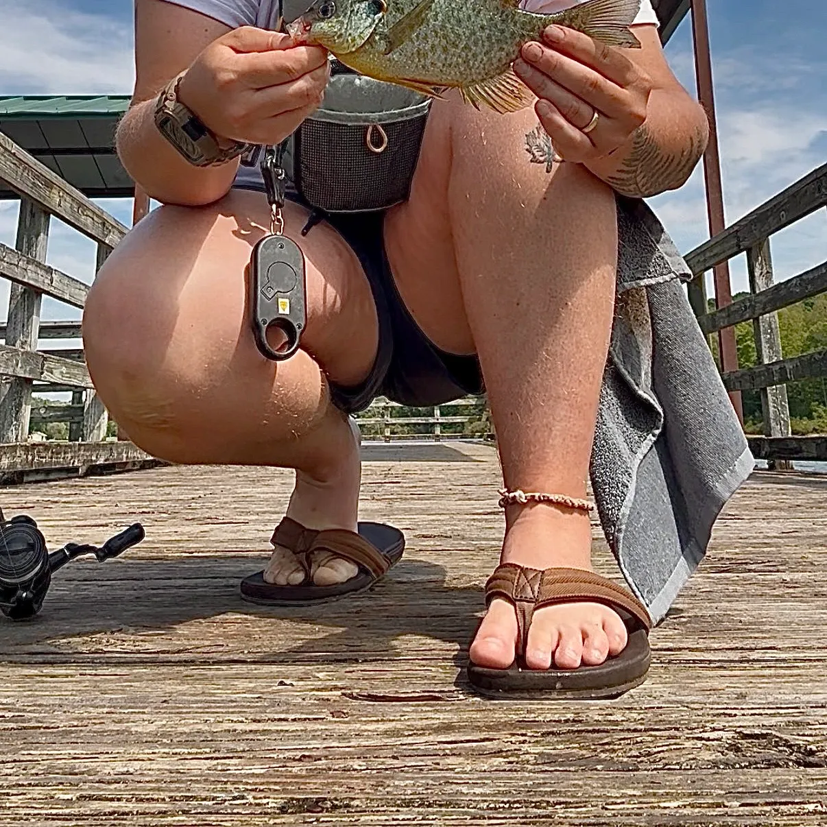 Redear sunfish caught on Fishbrain