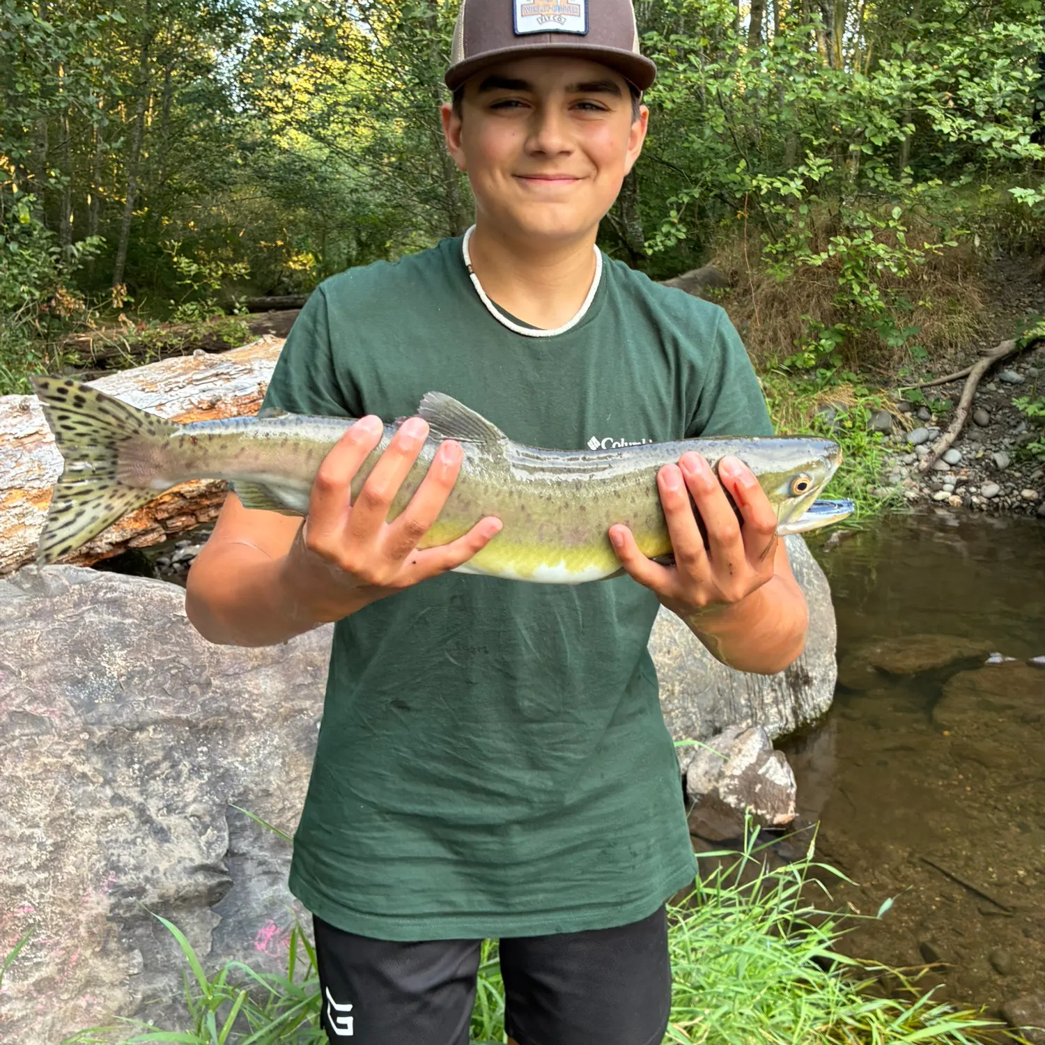 The most recent Pink salmon catches on Fishbrain