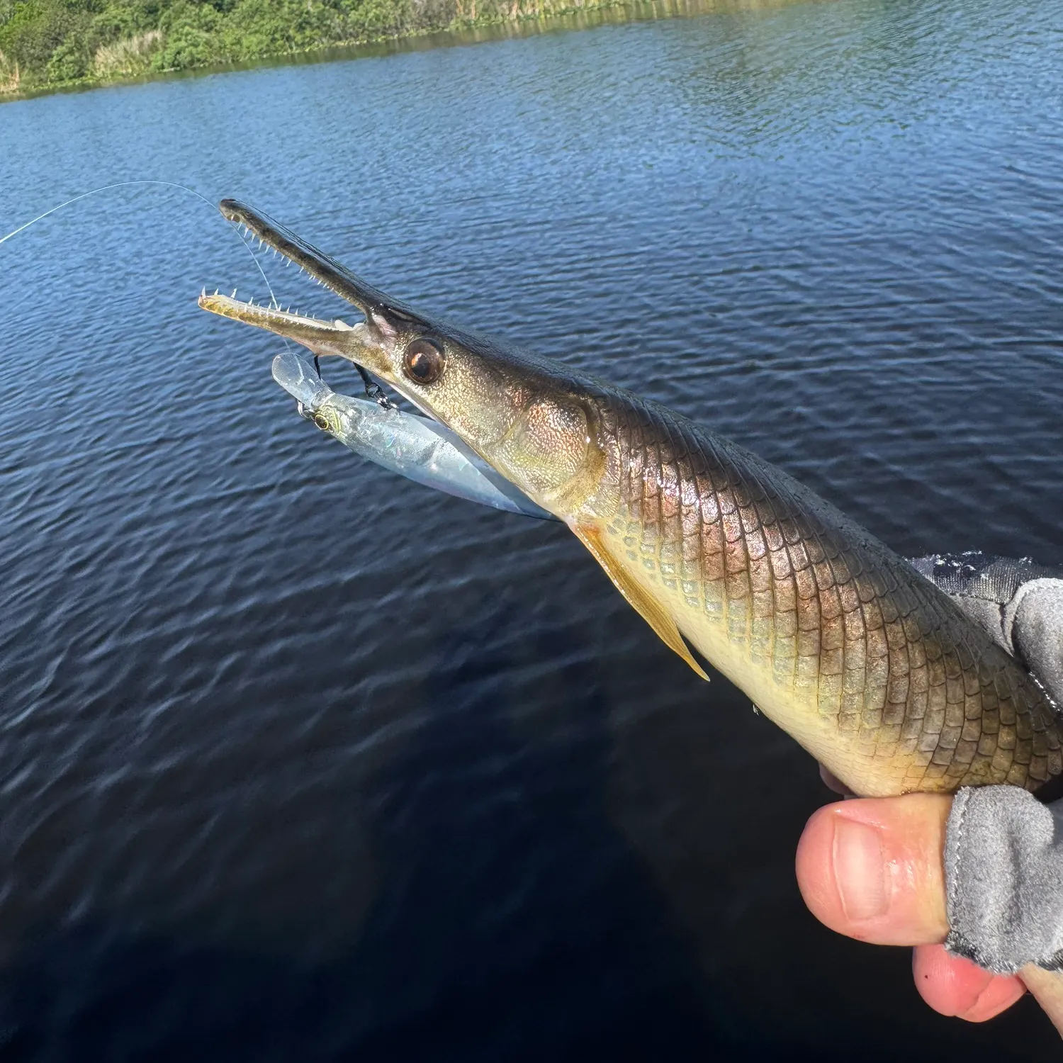 most liked catch image