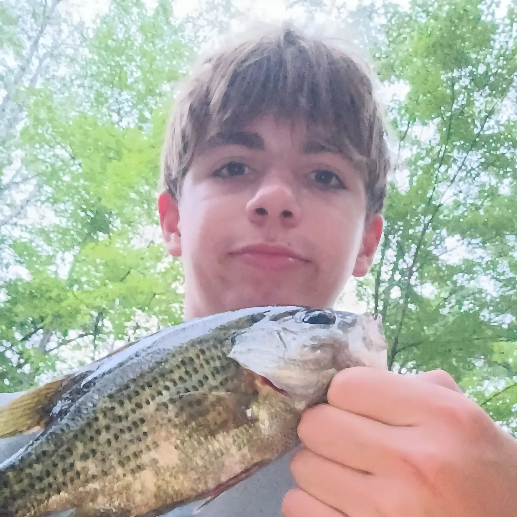 Rock bass caught on Fishbrain