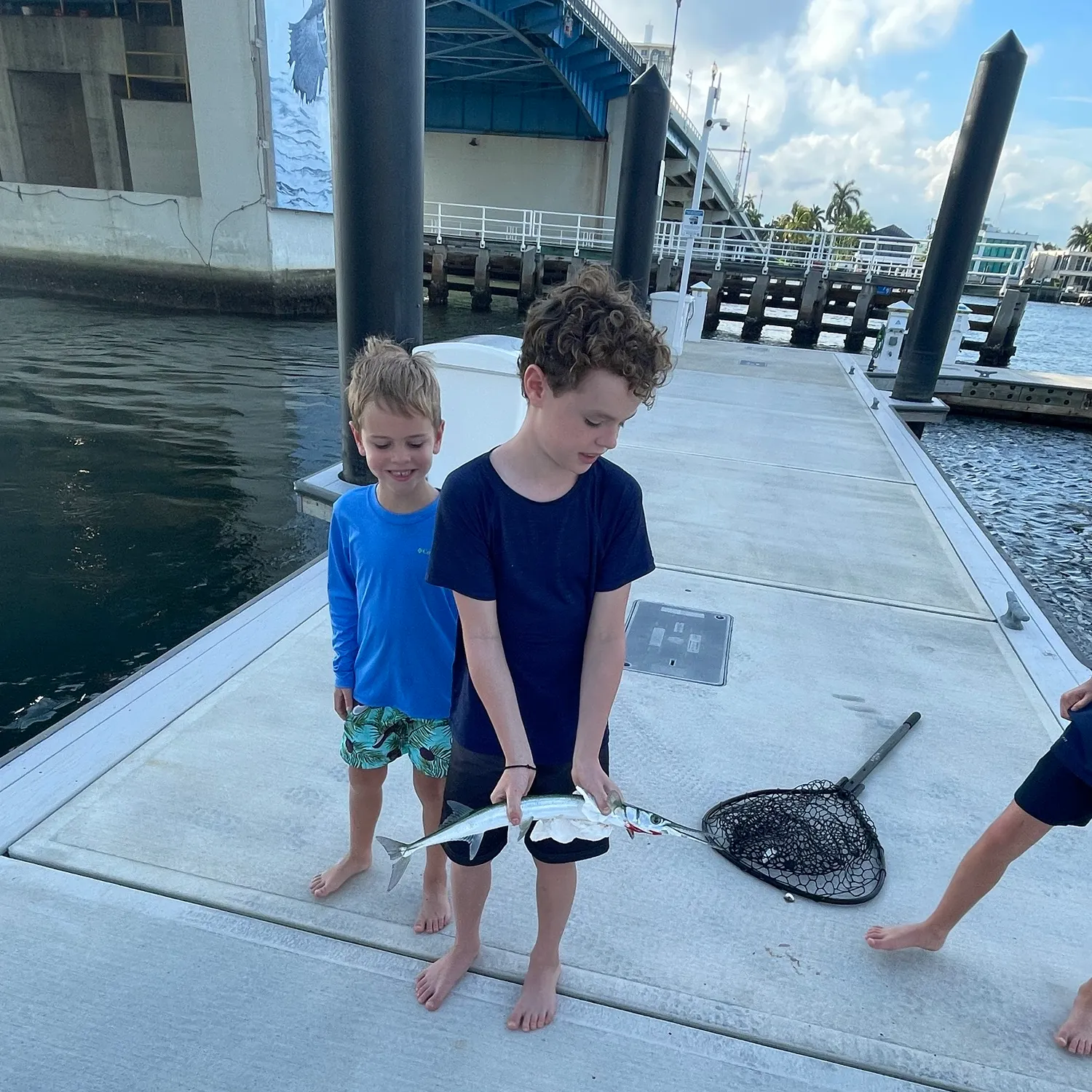 The most recent Hound needlefish catches on Fishbrain