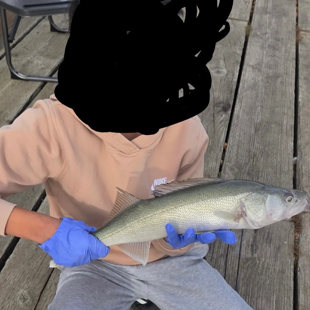 Walleye caught on Fishbrain