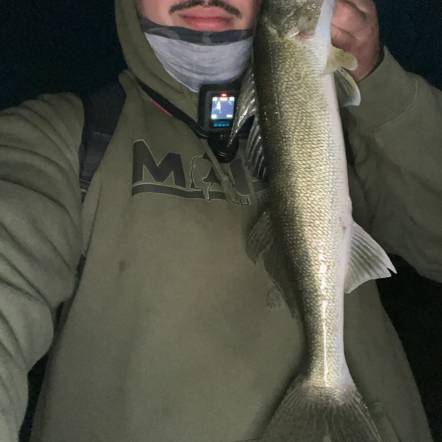The most recent Walleye catches on Fishbrain