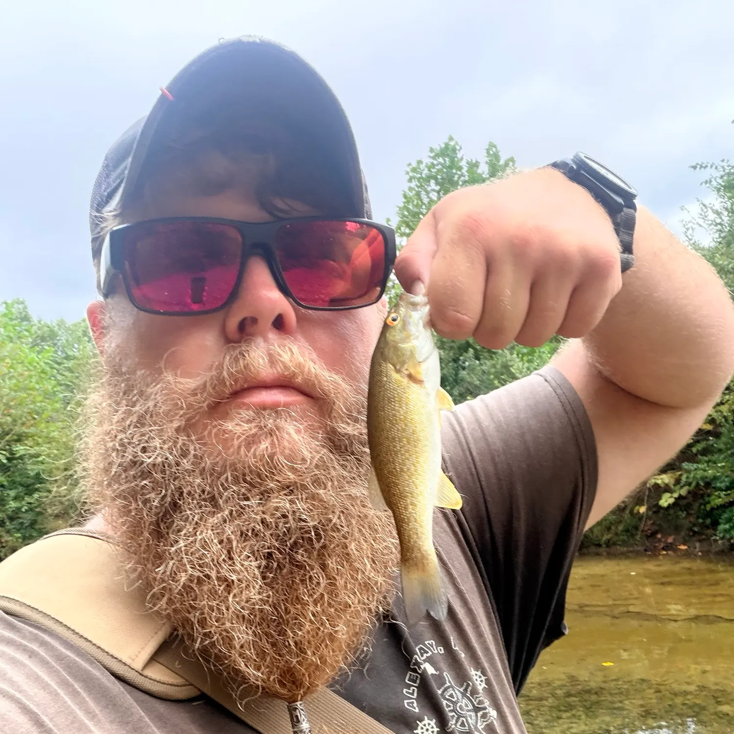 Smallmouth bass caught on Fishbrain