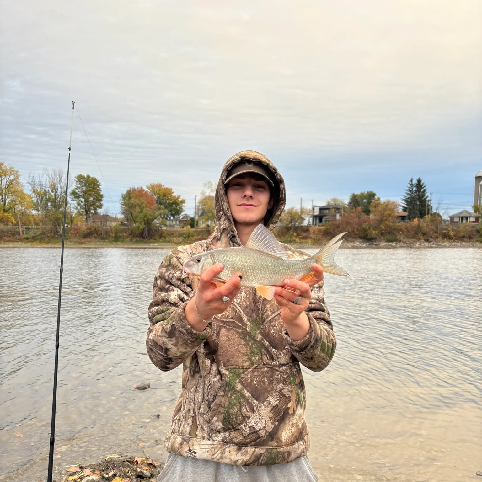 The most recent Silver redhorse catches on Fishbrain