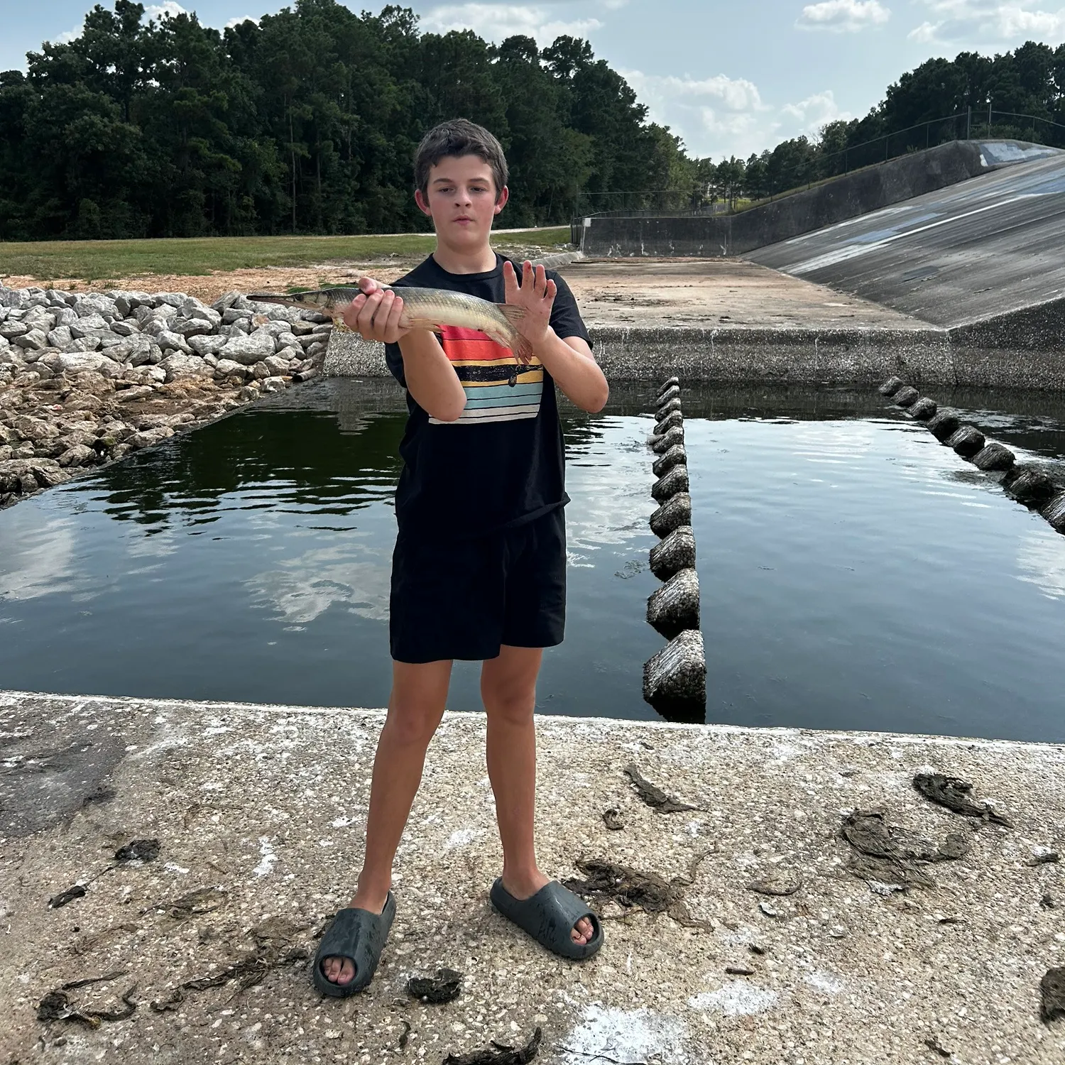 Shortnose gar caught on Fishbrain