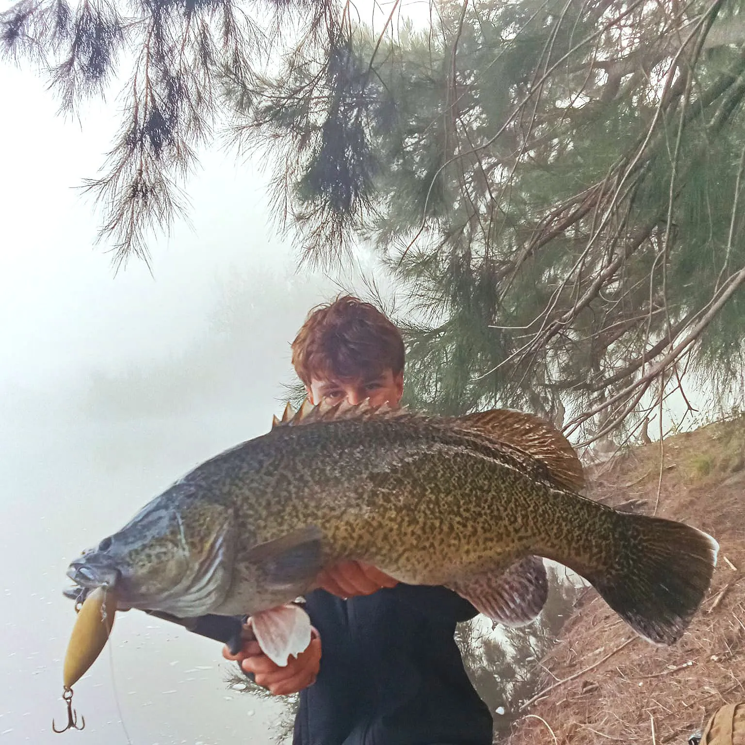 The most recent Murray cod catches on Fishbrain