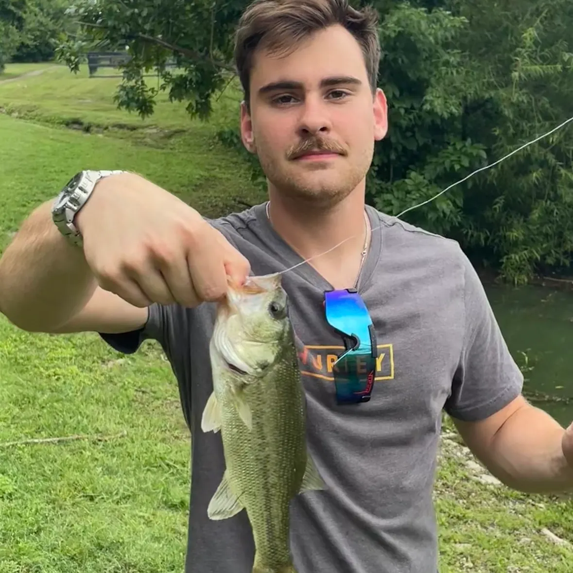 Largemouth bass caught on Fishbrain