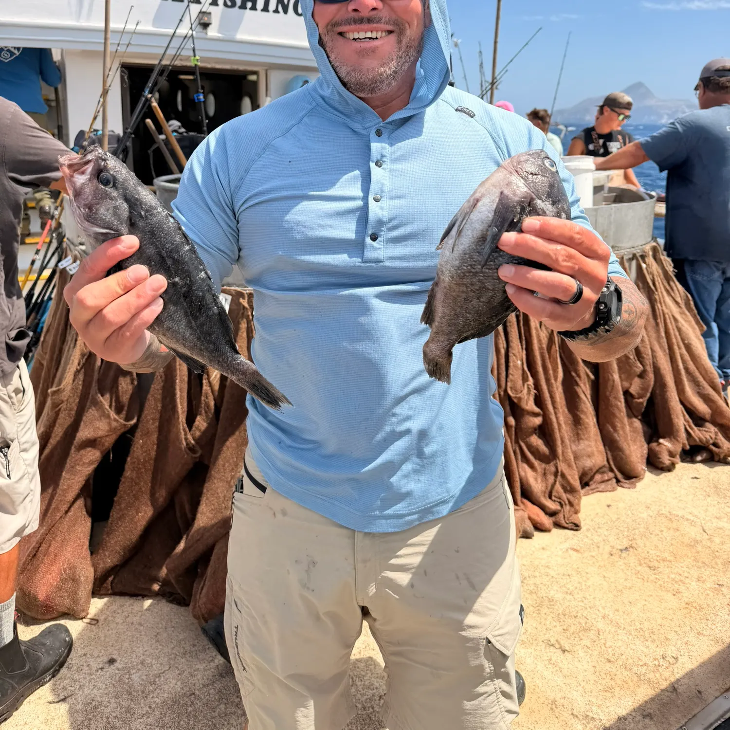 Blue rockfish caught on Fishbrain