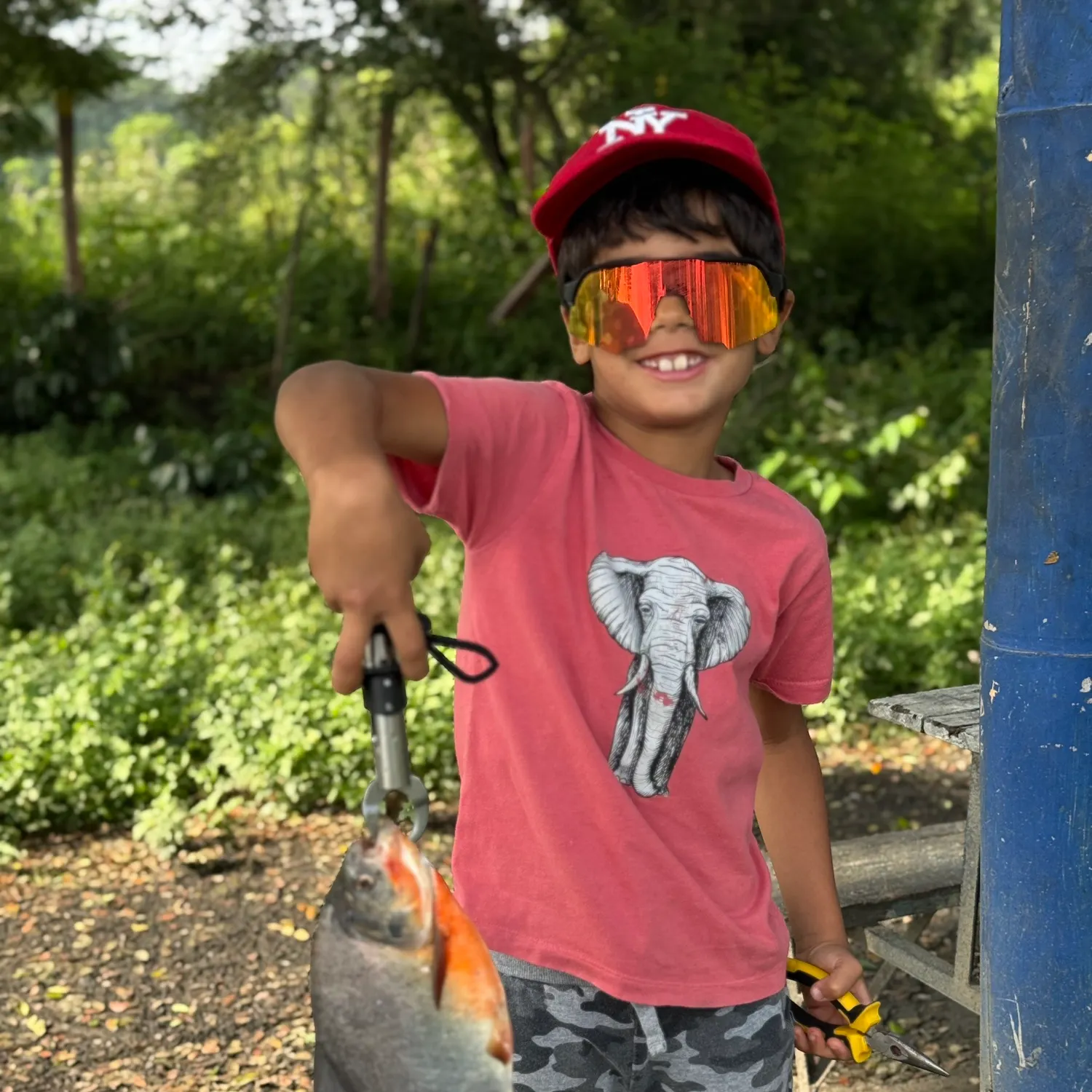 The most recent Black pacu catches on Fishbrain