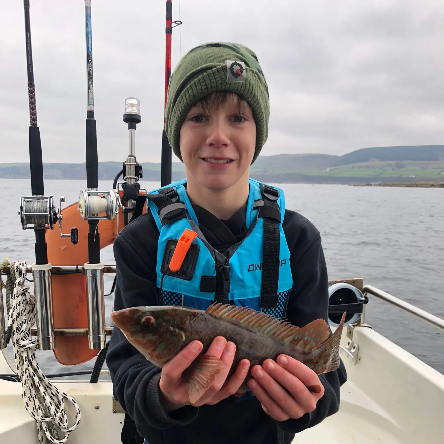 The most recent Ballan wrasse catches on Fishbrain