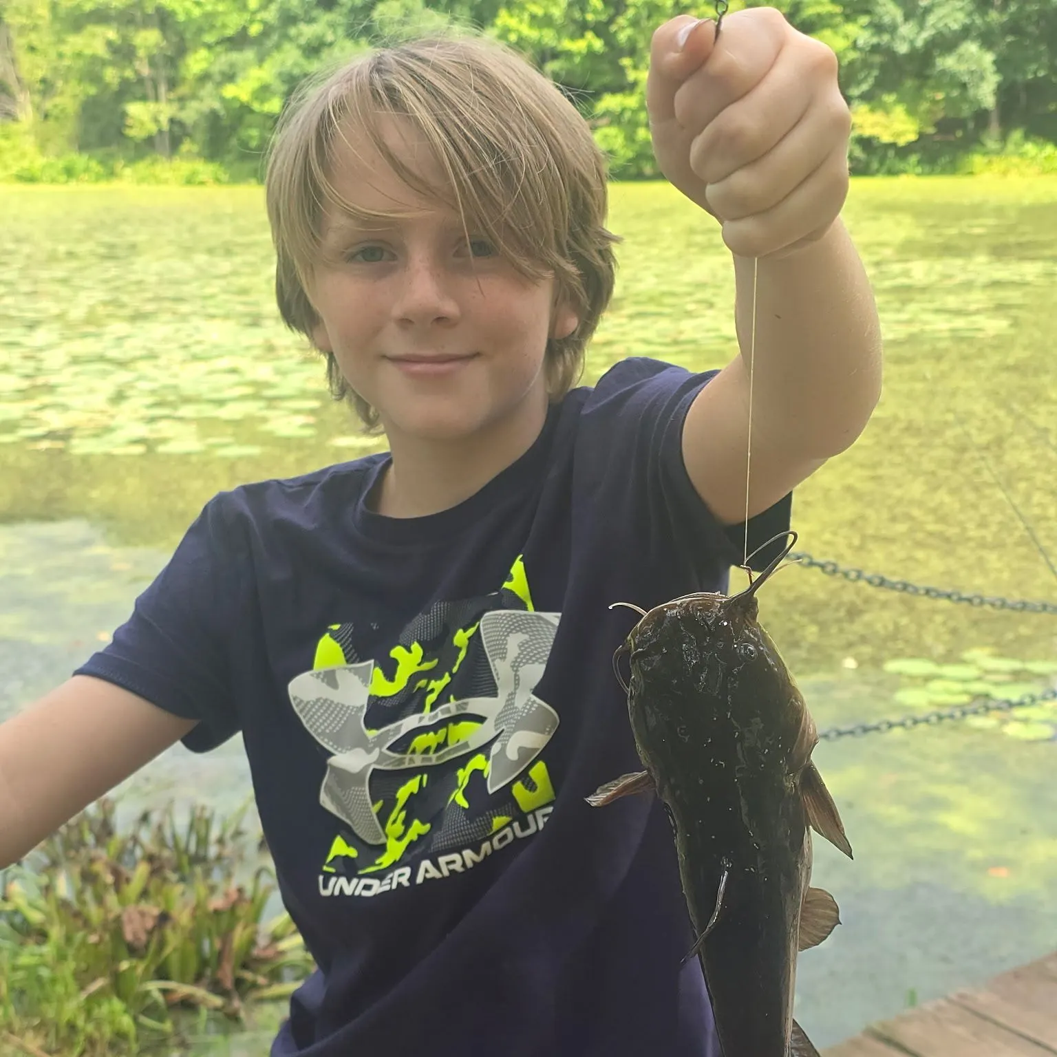 Black bullhead caught on Fishbrain
