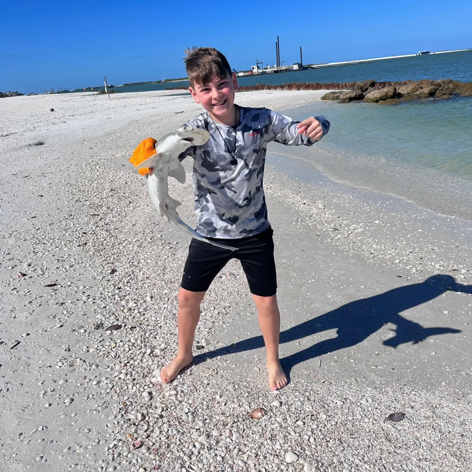 The most recent Scalloped hammerhead shark catches on Fishbrain