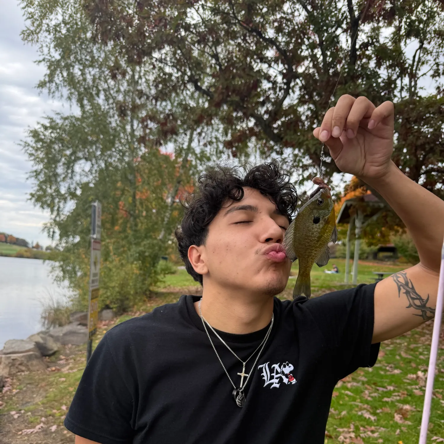 Bluegill caught on Fishbrain