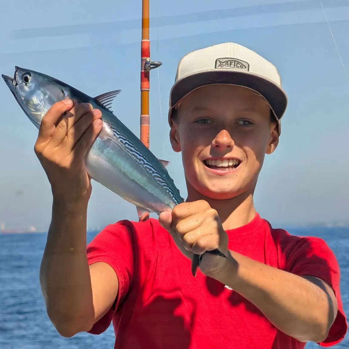 Skipjack tuna caught on Fishbrain