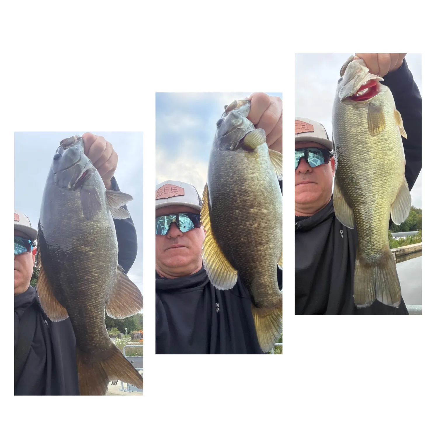 Smallmouth bass caught on Fishbrain