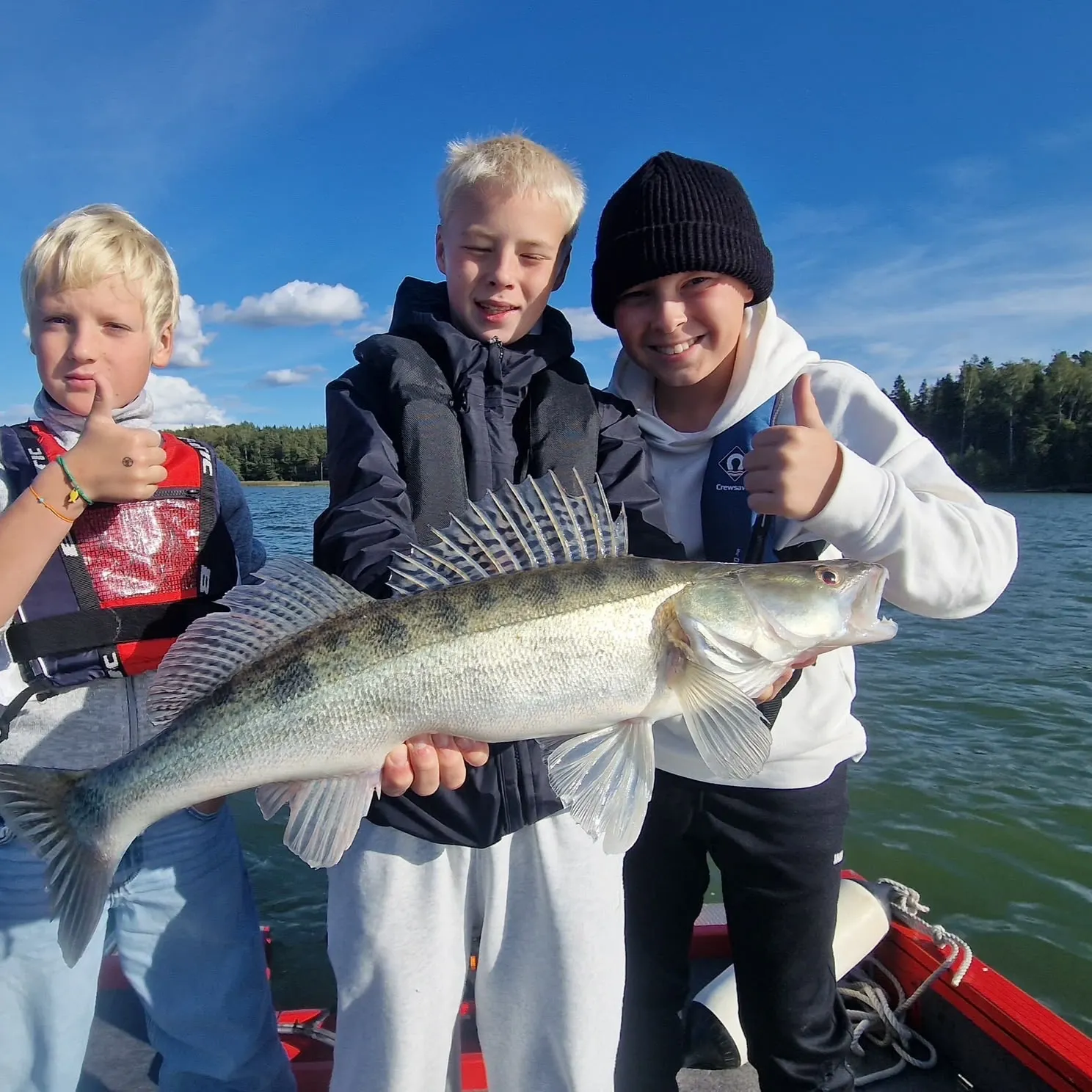 Zander caught on Fishbrain