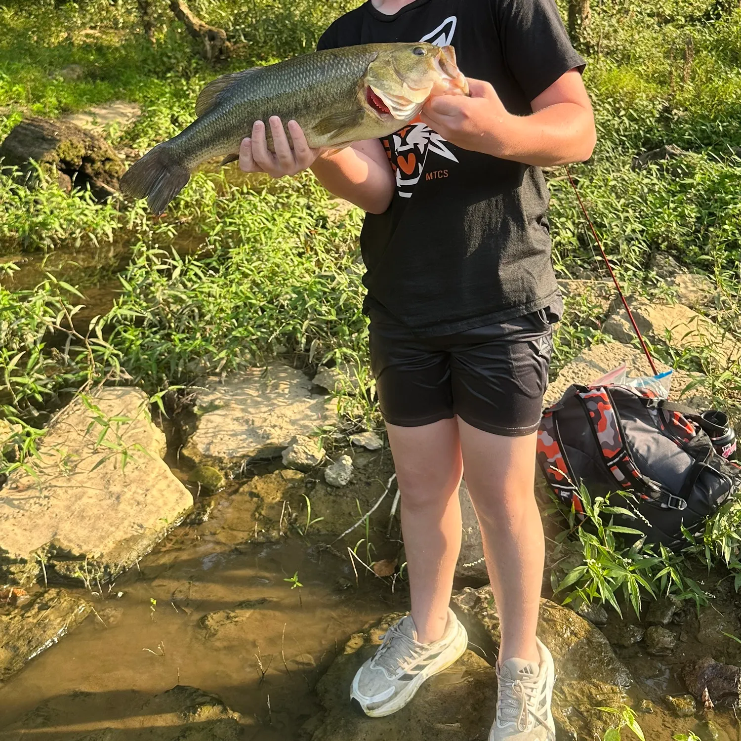 Largemouth bass caught on Fishbrain