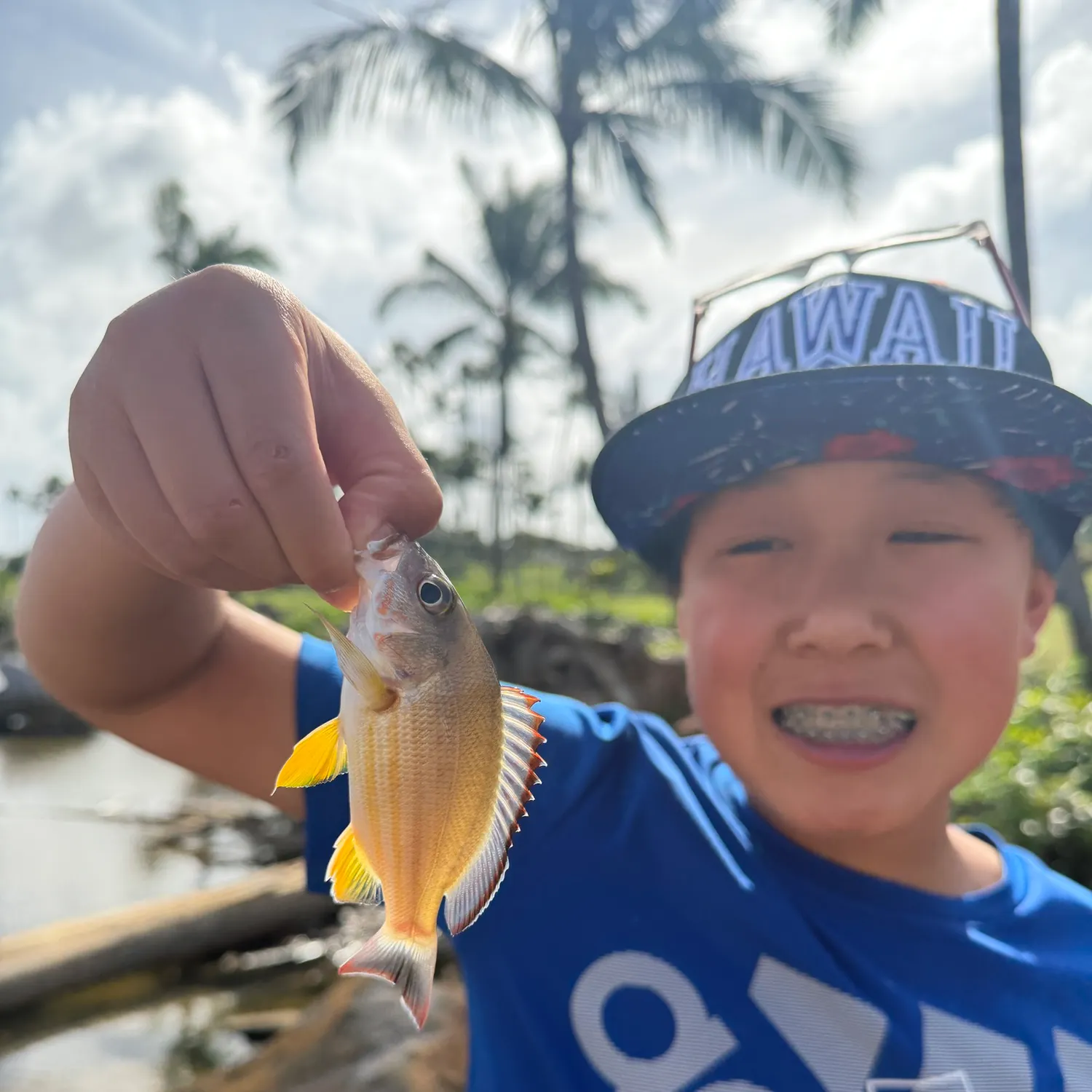 The most recent Blacktail snapper catches on Fishbrain