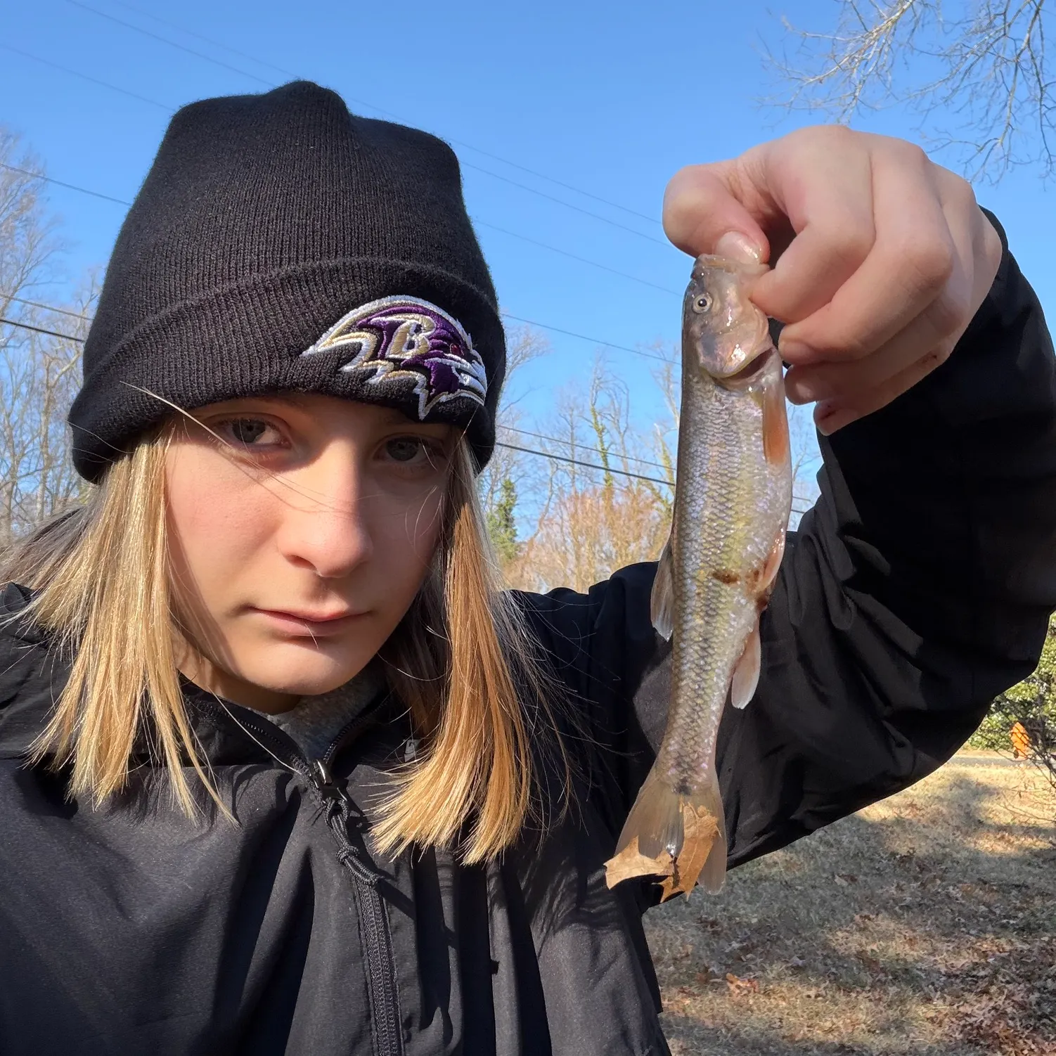 The most recent Creek chub catches on Fishbrain