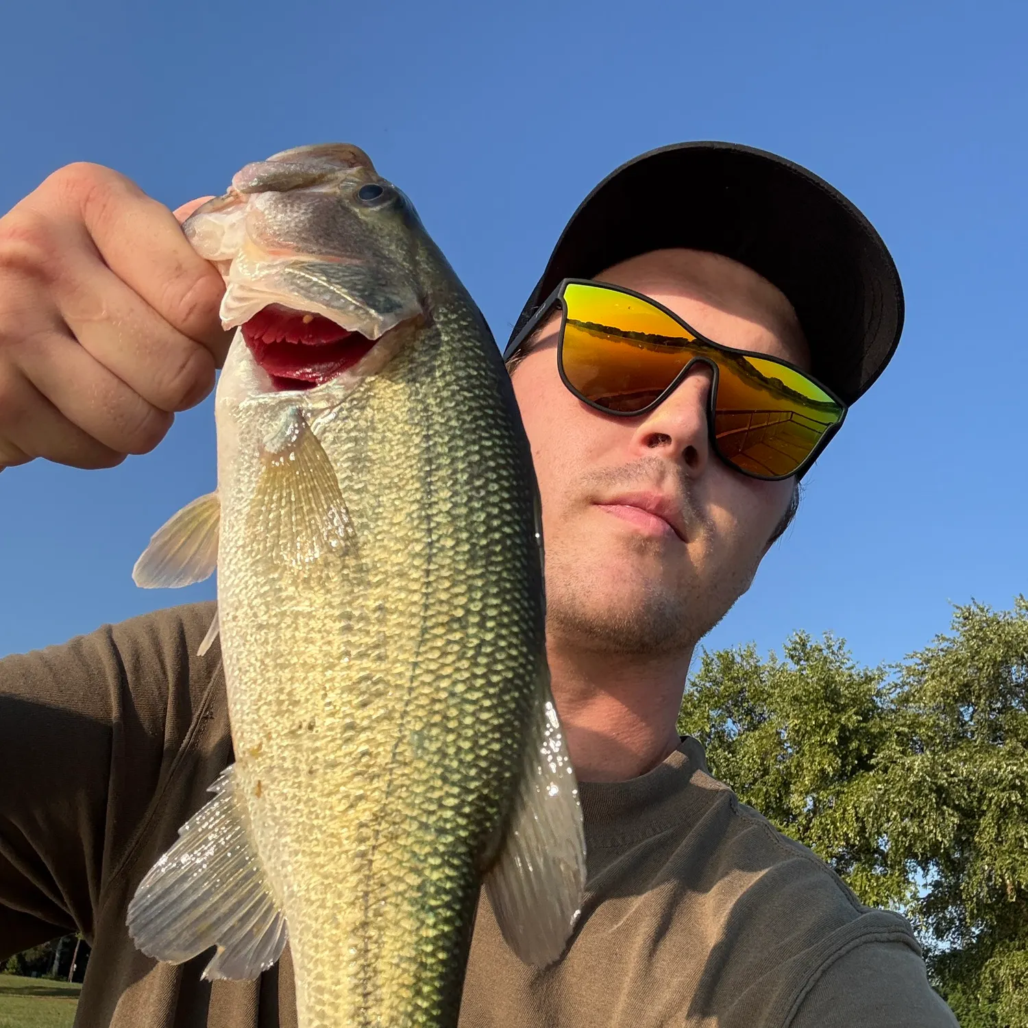Largemouth bass caught on Fishbrain
