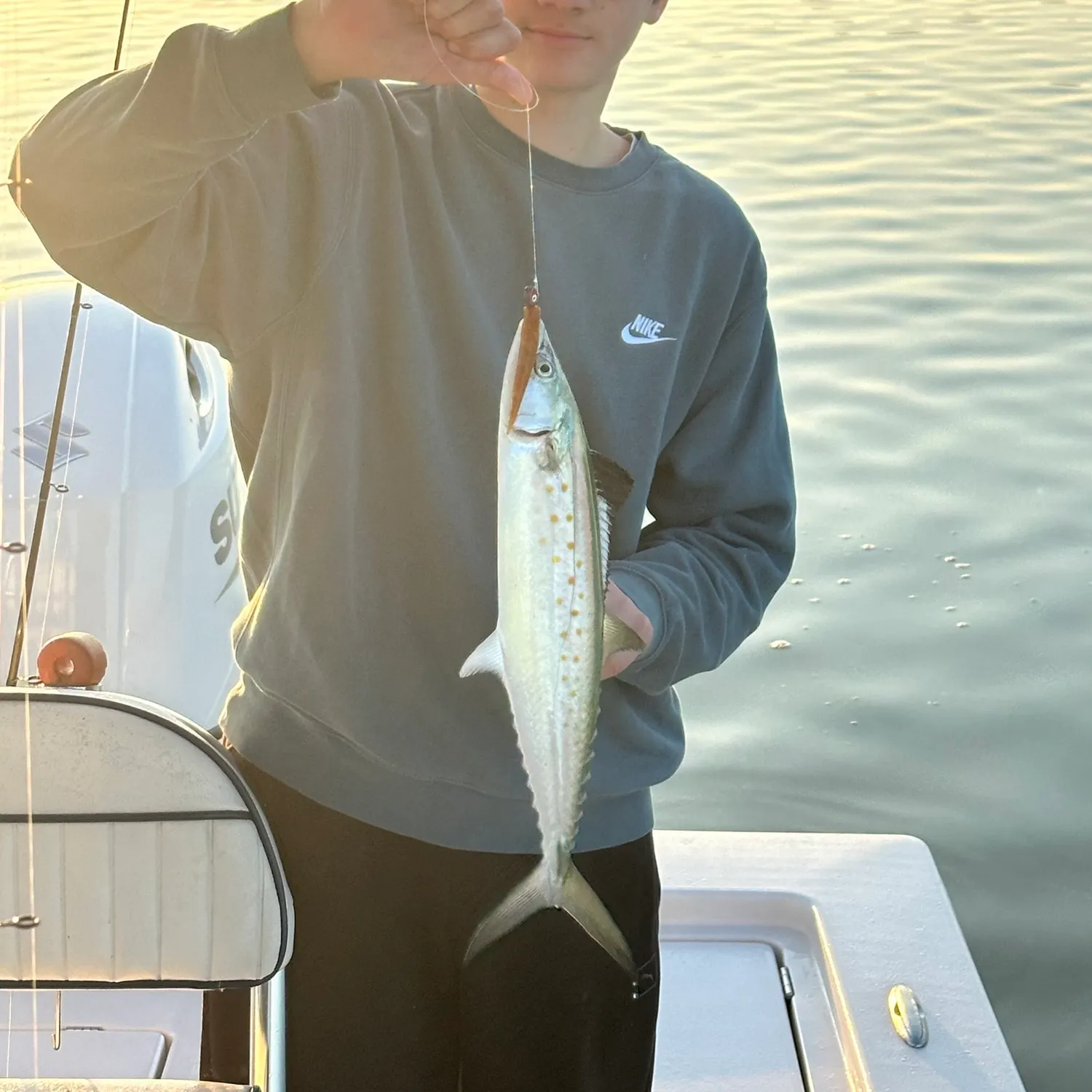 The most recent Spanish mackerel catches on Fishbrain