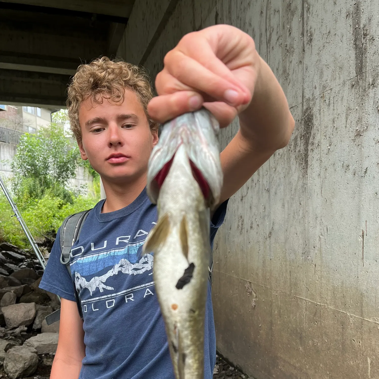 Smallmouth bass caught on Fishbrain