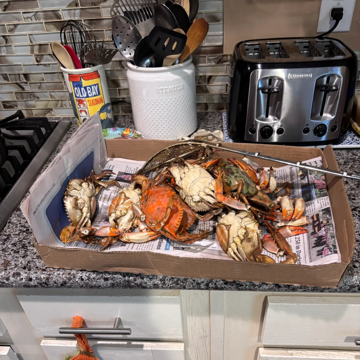 Blue crab caught on Fishbrain