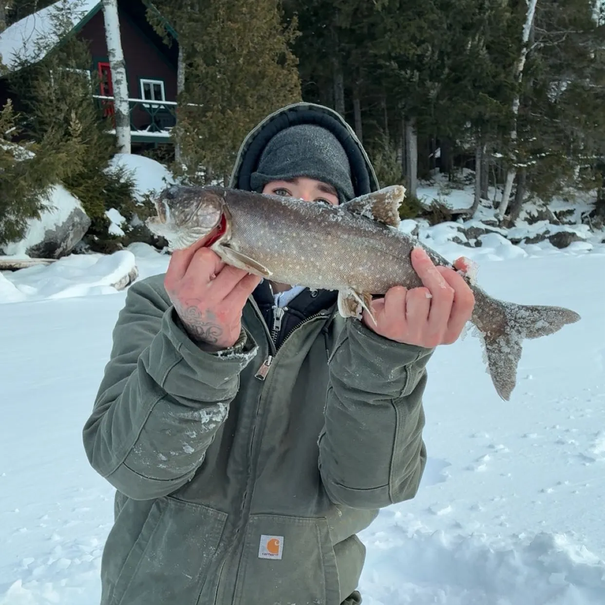 The most recent Lake char catches on Fishbrain