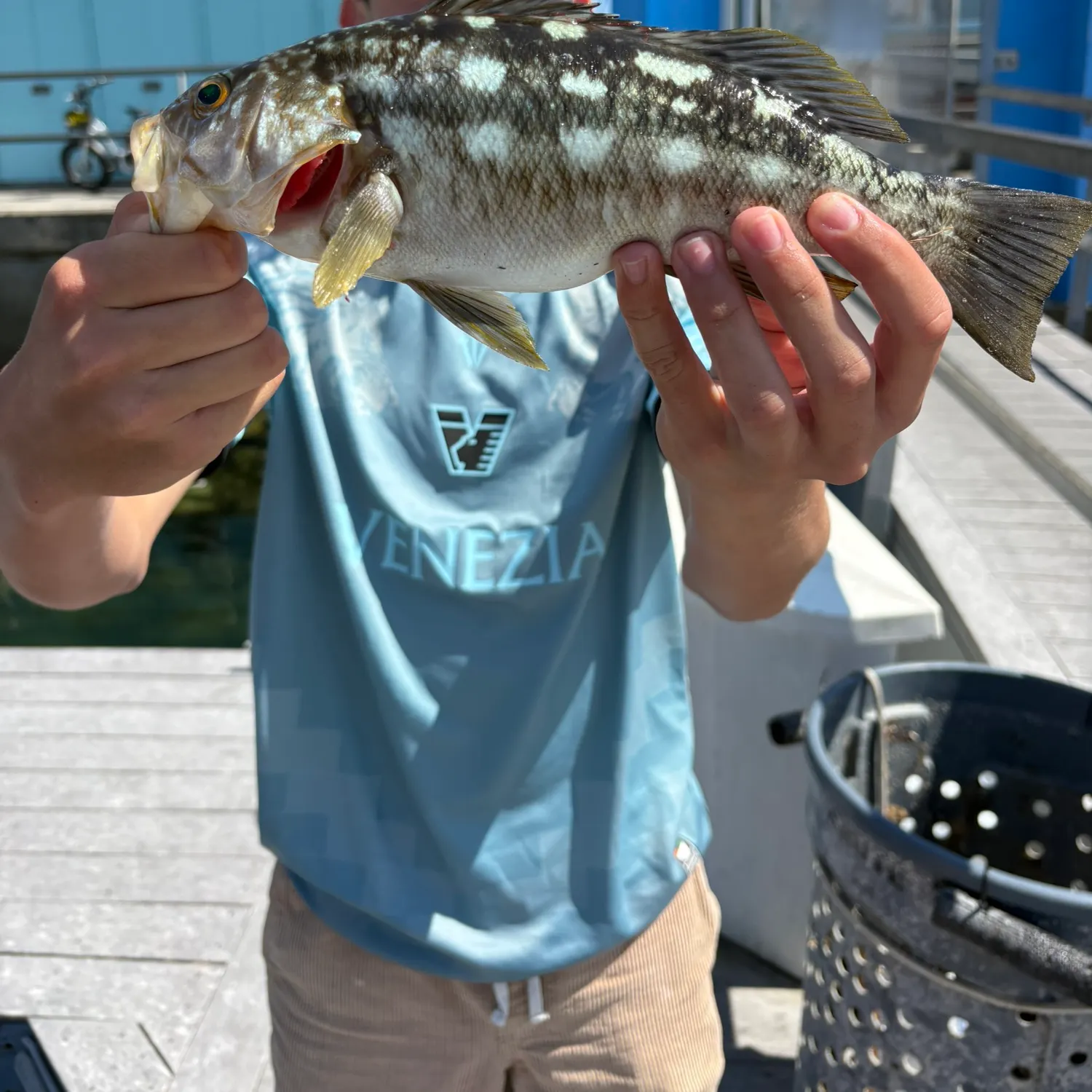 catch