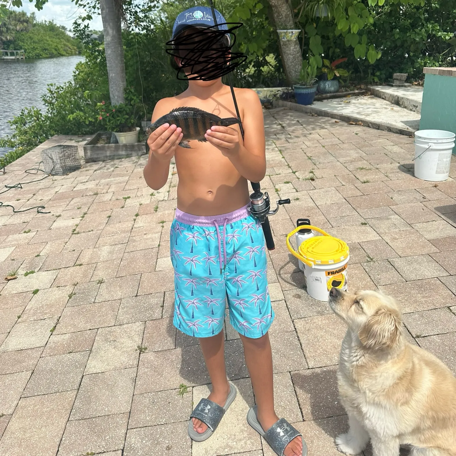 The most recent Mayan cichlid catches on Fishbrain