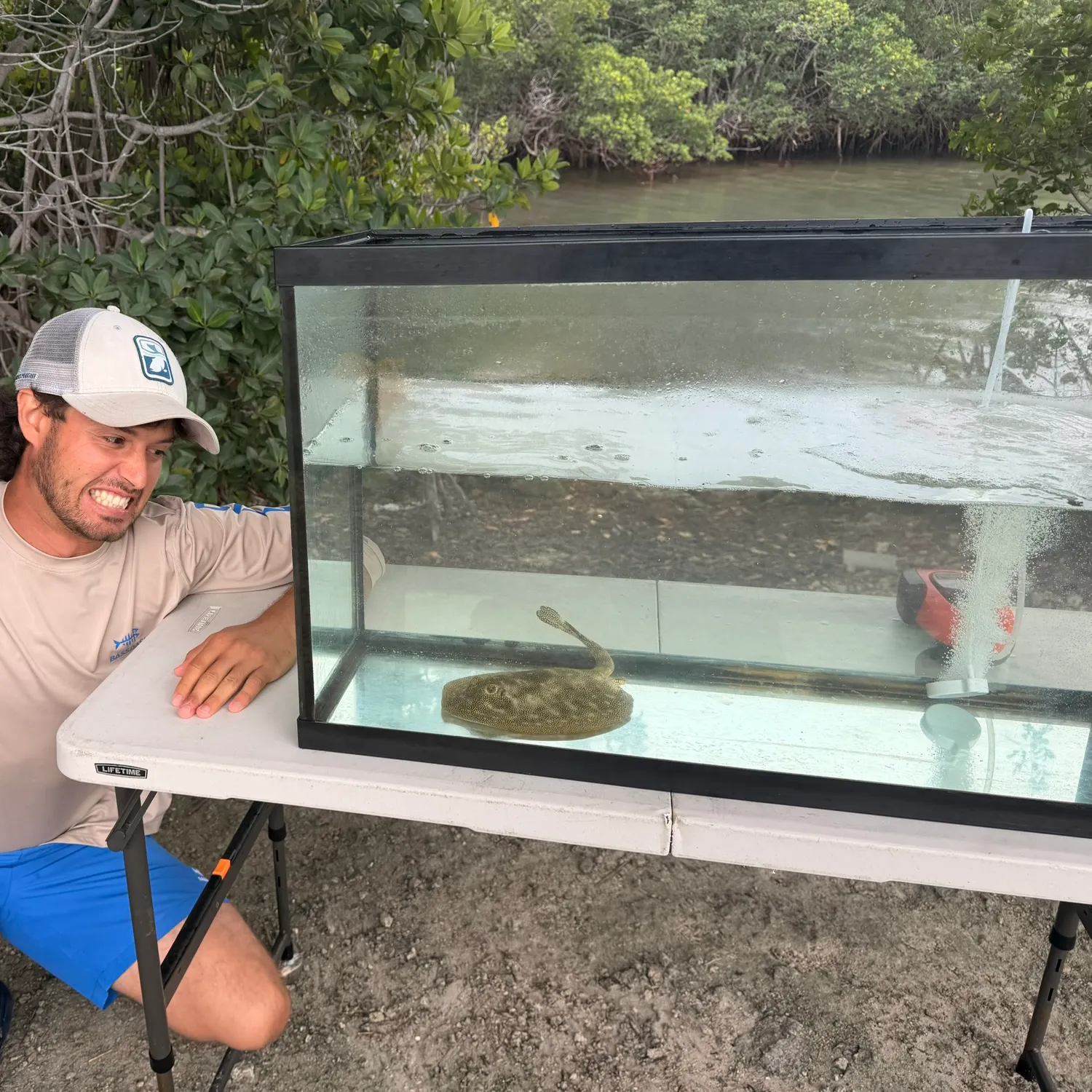 The most recent Yellow stingray catches on Fishbrain