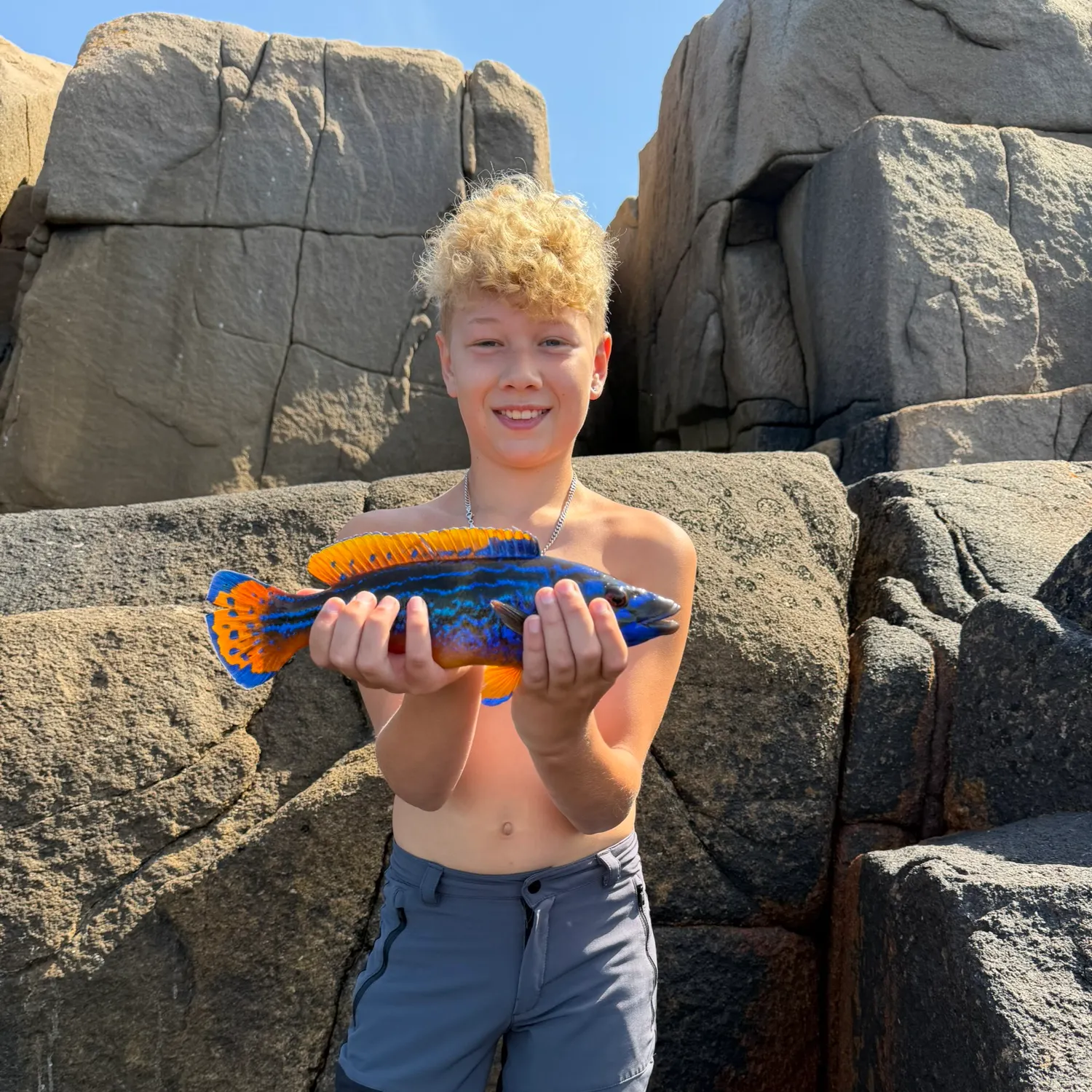 The most recent Cuckoo wrasse catches on Fishbrain