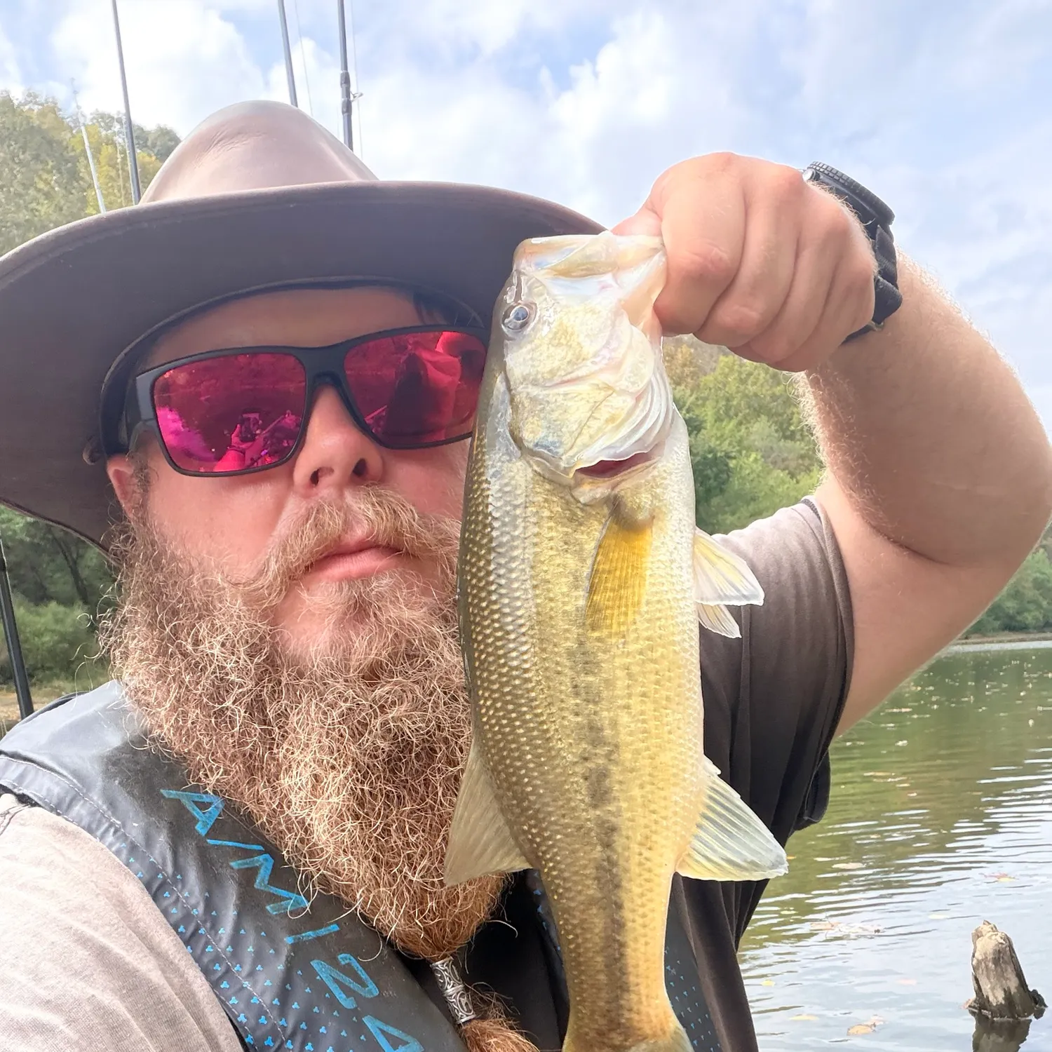 Largemouth bass caught on Fishbrain